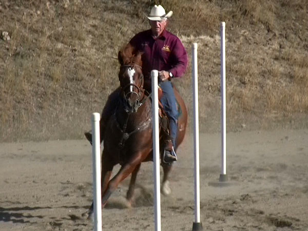 Sixey In Red, 2005 Red Roan mare