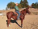 Sixey In Red, 2005 Red Roan mare