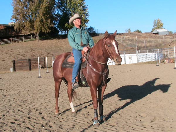 Sixey In Red, 2005 Red Roan filly