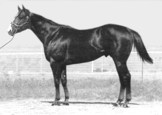 Easy Six, Quarter Horse Race Sire