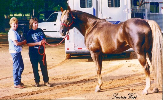 Fire Water Flit Barrel Horse Sire, with Pat Smith and Vickie Adams