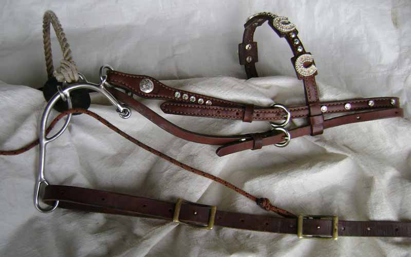 German rein on a bridle