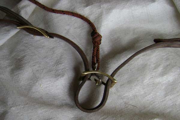 German rein conway buckles