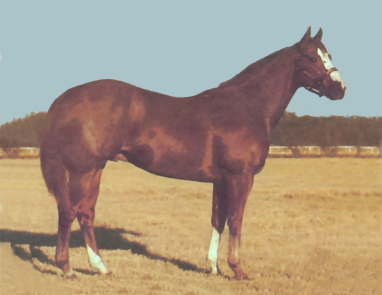 Packin Sixes, Barrel Horse Sire