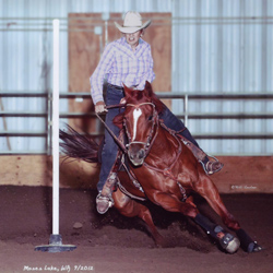 Pat Smith and Perky - Moses Lake, WA NBHA Finals 2009