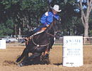 Twist Kokomos Jet Barrel Racing Horse