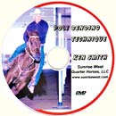 PoleBending DVD