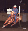 Fire Water Sandy Bar - Pole Bending horse