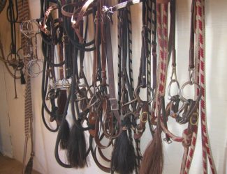 Snaffles in the Tack Room