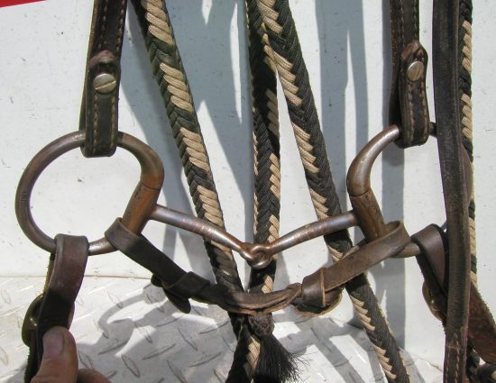 Snaffle Bit Basics