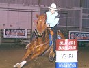 HaveMoney WillTravel Barrel Racing Horse