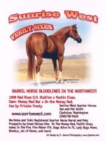 Sample quarter or full page ad