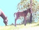 High On Biankus, June, 2001